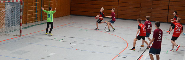 Handball Bild1